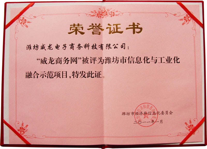 威龍公司喜獲濰坊市首批信息化與工業(yè)化融合優(yōu)秀服務(wù)機(jī)構(gòu)稱號(hào)