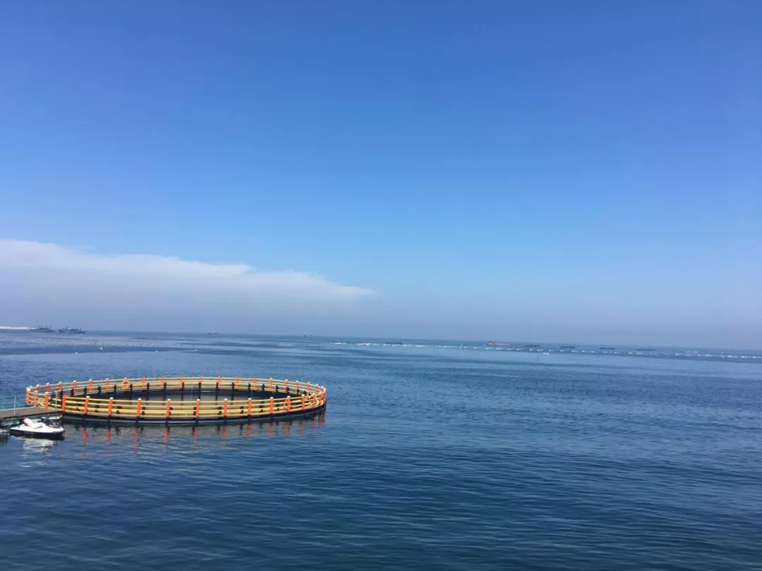 威海二日游，共享夏日情